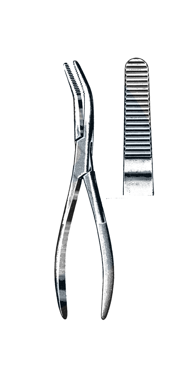 Van Buren Sequestrum Forceps 8 1/2" (21 cm) - Garana Industries