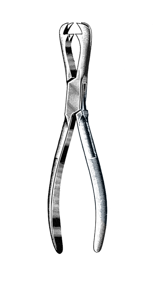 Ferguson Bone Holding Forceps, 8 1/2" (21 cm) - Garana Industries