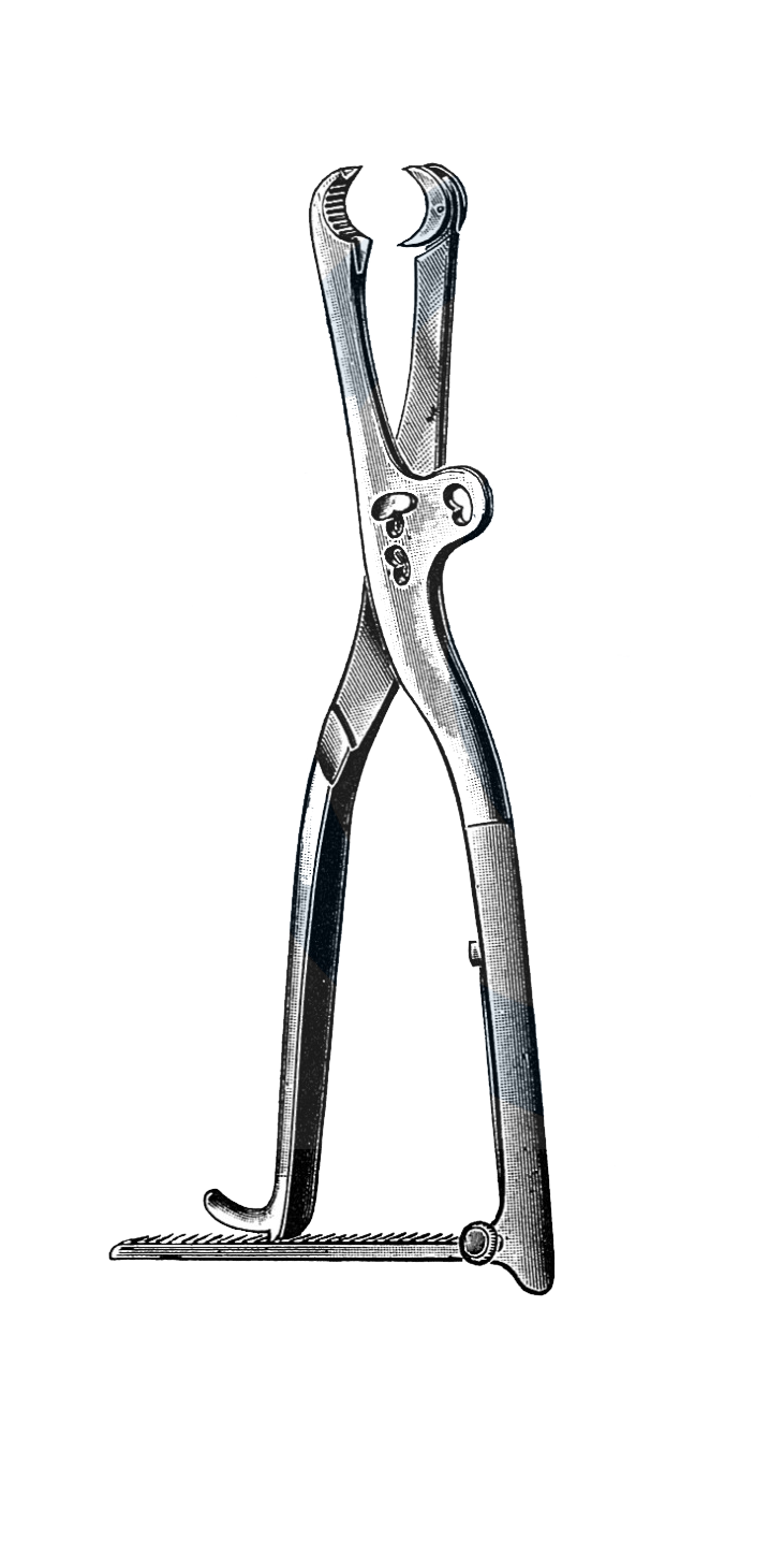 Lambotte Bone Holding Forceps, 8 3/4" (21 cm) - Garana Industries