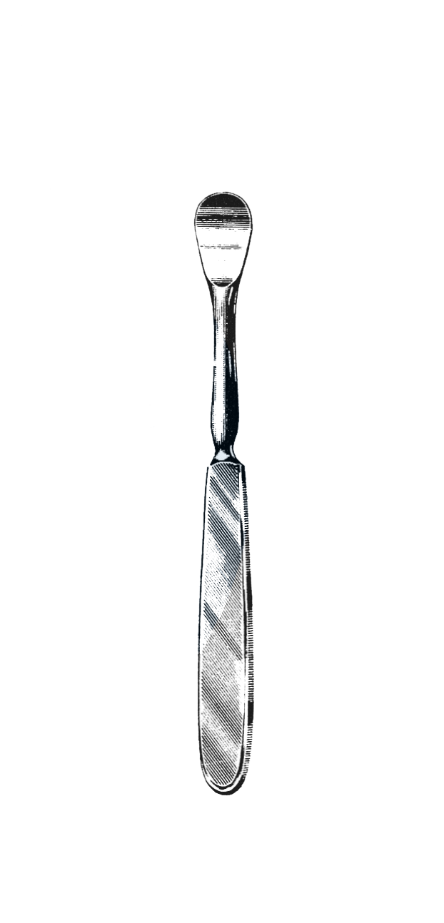 Sedillot Raspatory 7 1/2" (19 cm) - Garana Industries