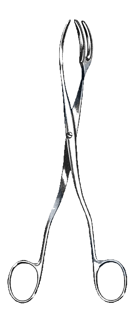 Utility and Sterilizer Forceps, Three Prong Sterilizer Forceps 8" (20 cm) - Garana Industries