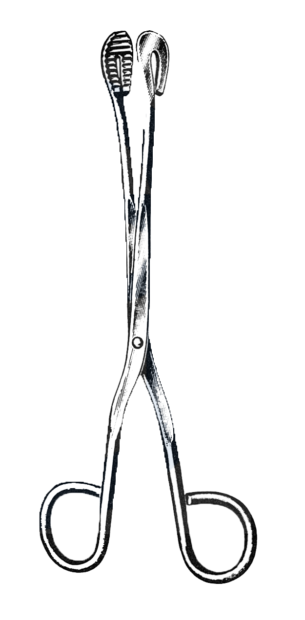 Utility and Sterilizer Forceps, Straight, 8" (20 cm) - Garana Industries