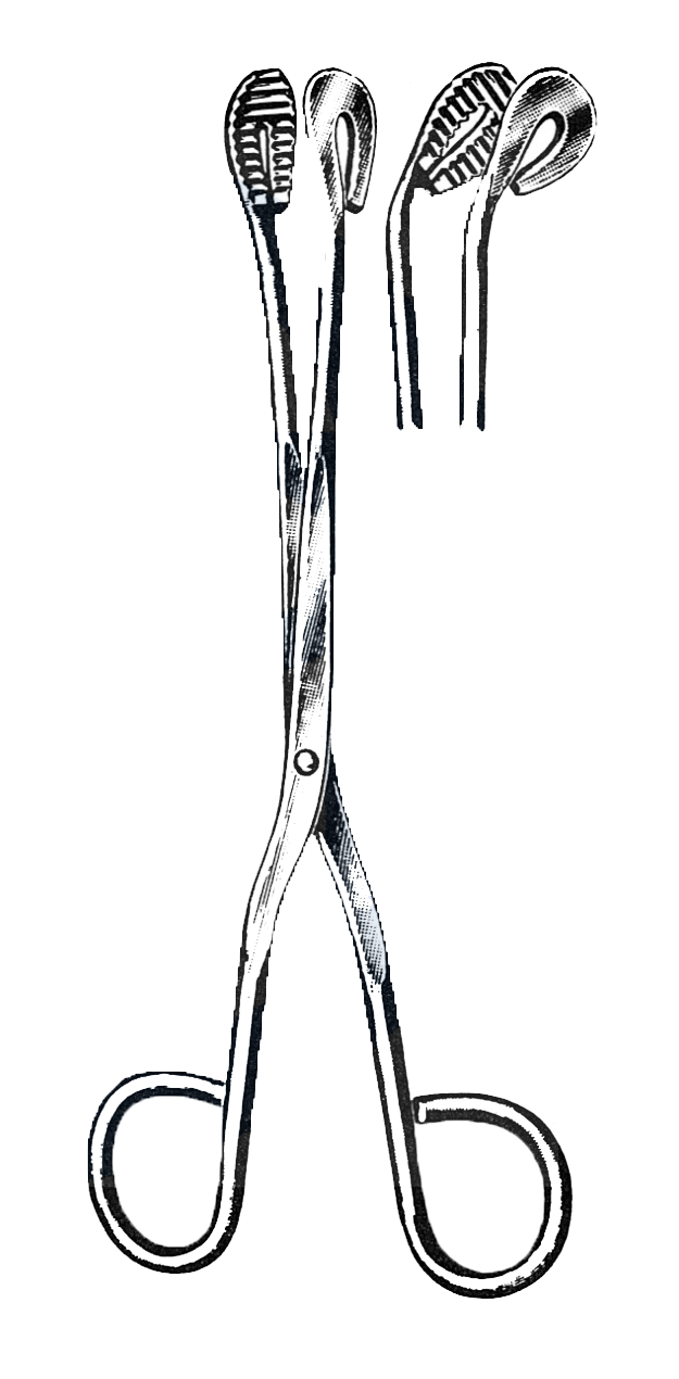 Utility and Sterilizer Forceps, Curved, 11" (28 cm) - Garana Industries