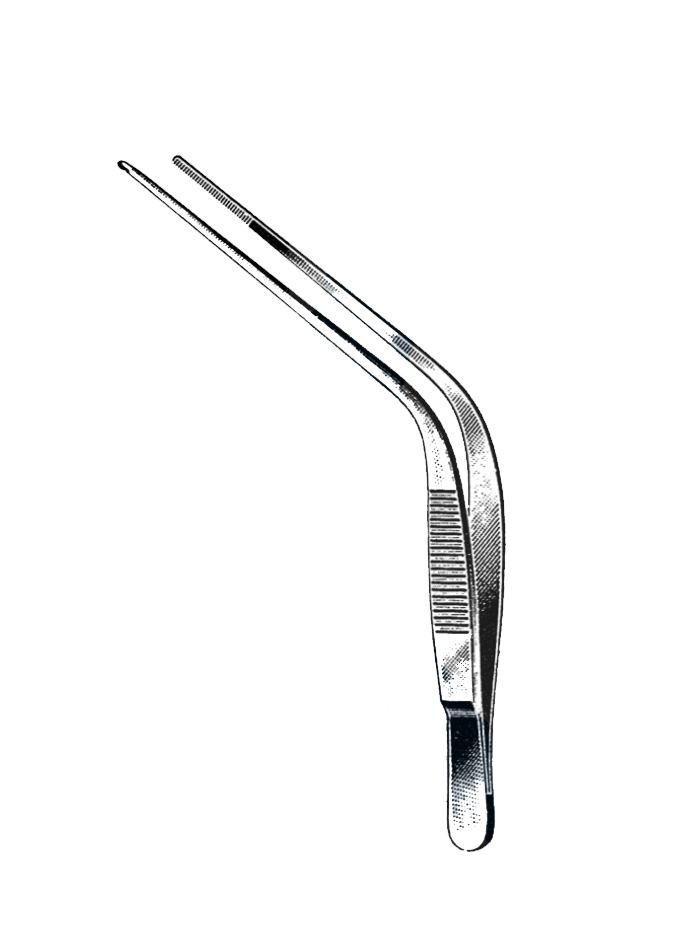 Blake Ear Forceps 4 1/8" (10.5 cm) - Garana Industries