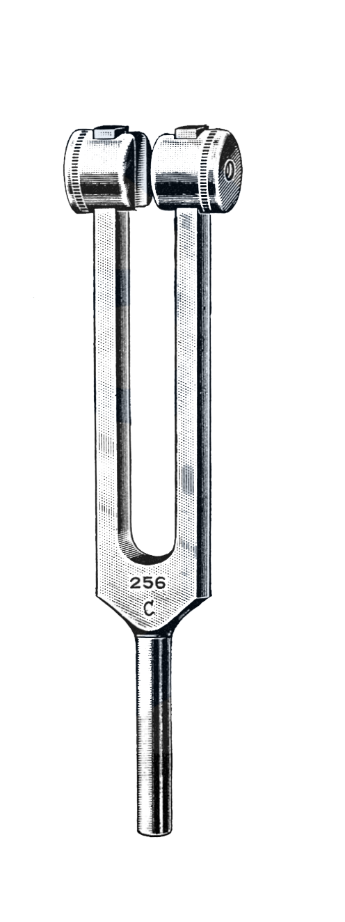Alloy Tuning Fork, 256 Vibrations - Garana Industries
