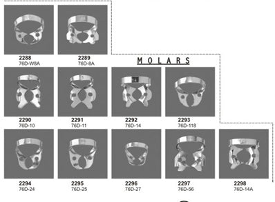 Rubber Dam Clamps Molars 11 Pieces