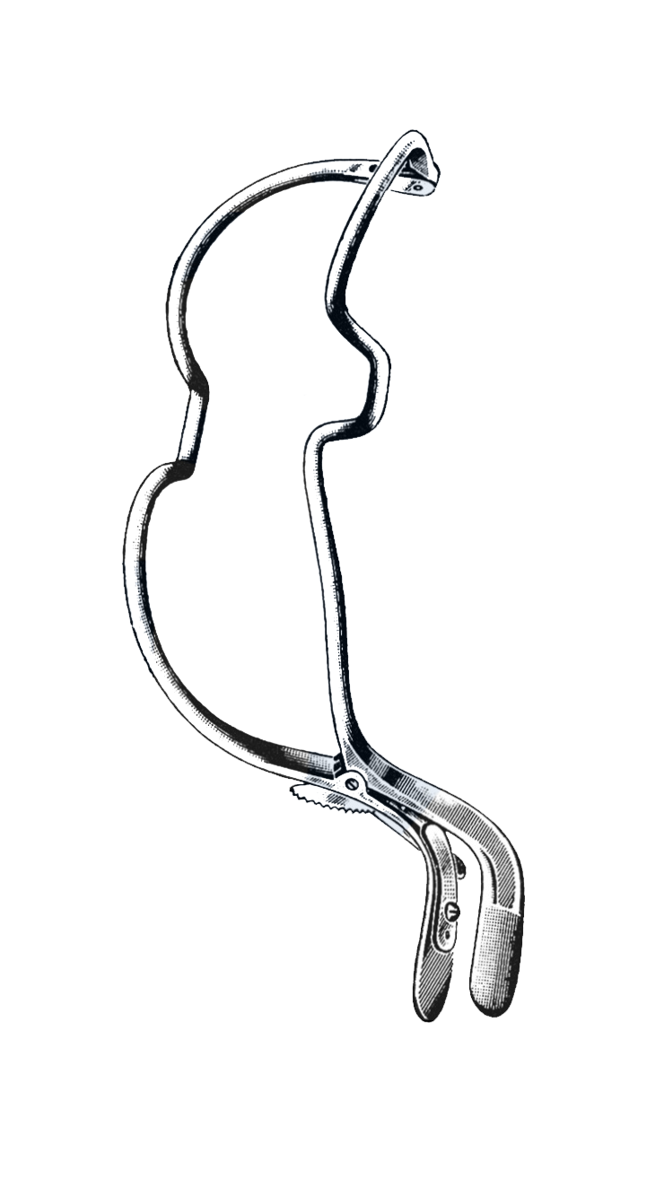 Jennings Mouth Gag, large, 6" Wide (15 cm) - Garana Industries