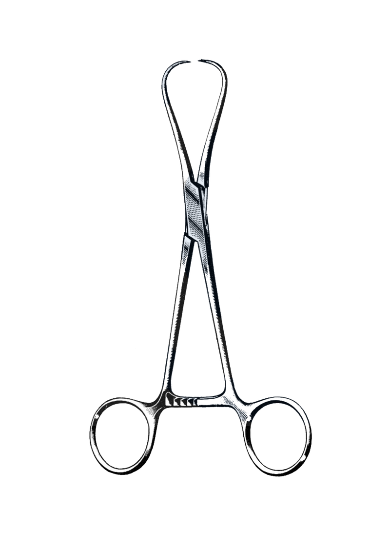 Staude Uterine Tenaculum Forceps 5 1/2" (14 cm) - Garana Industries