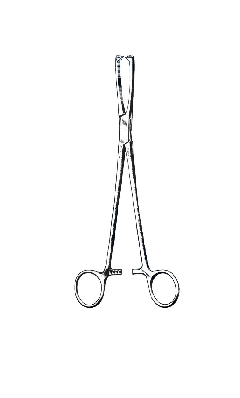 Jacobs Uterine Vulsellum Forceps 2 x 2 Prongs, Straight 8 1/4" (21 cm) - Garana Industries