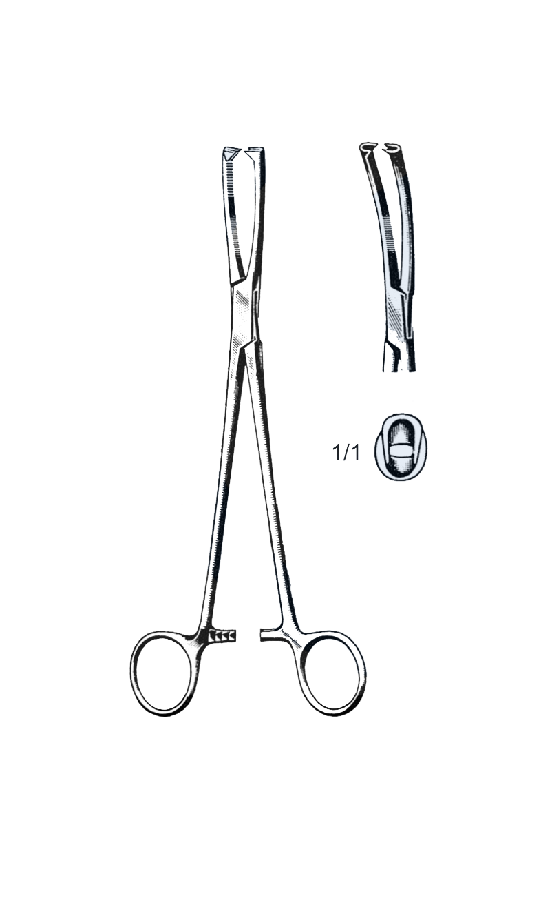 Jacobs Uterine Vulsellum Forceps 2 x 2 Prongs, Curved Sideways 8 1/4" (21 cm) - Garana Industries