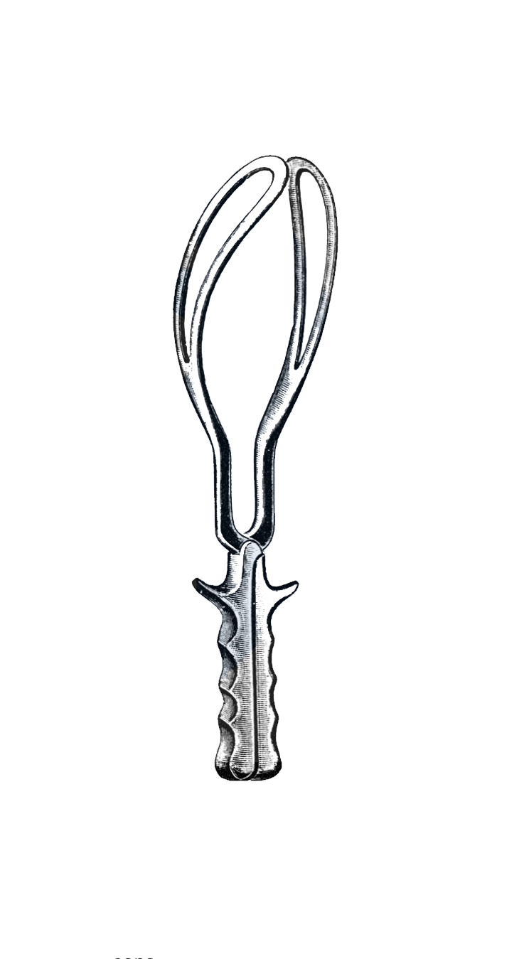 Simpson Obstetrical Forceps 12" (30 cm) - Garana Industries