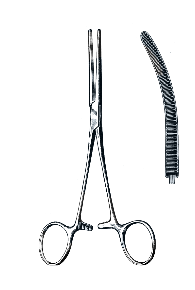 Rochester-Pean Forceps Curved 10" (25 cm) - Garana Industries