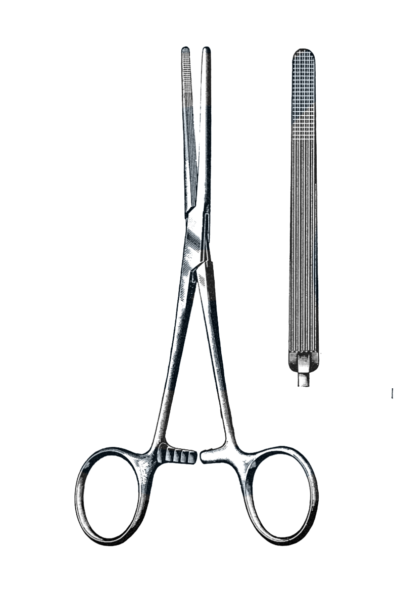 Rochester-Carmalt Forceps Straight 6 1/2" (16.5 cm) - Garana Industries