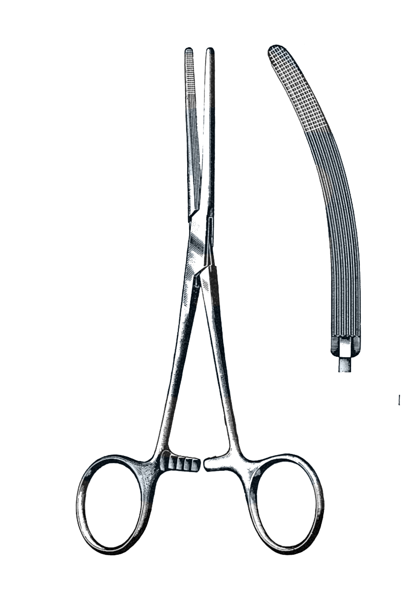 Rochester-Carmalt Forceps Curved 6 1/2" (16.5 cm) - Garana Industries