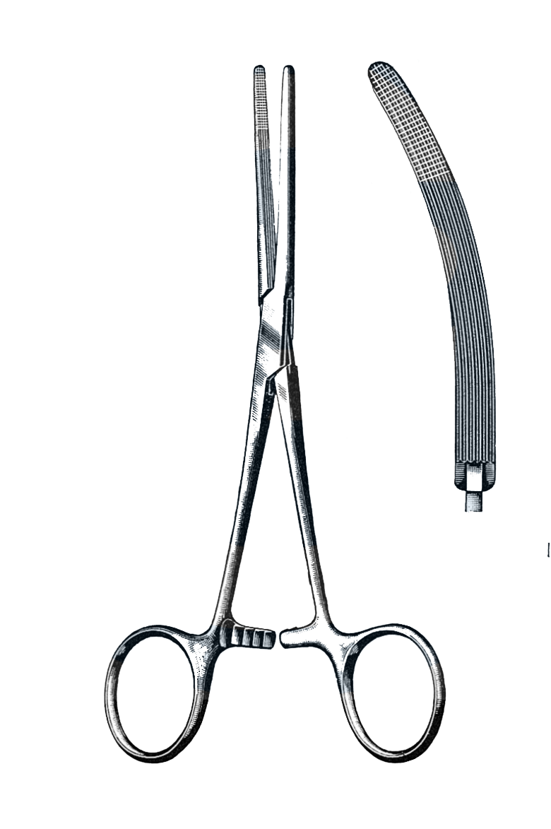 Rochester-Carmalt Forceps Curved 8" (20 cm) - Garana Industries