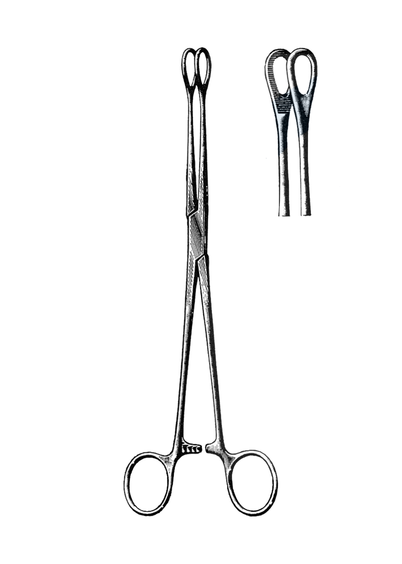 Foerster Sponge Forceps, Serrated, Straight 7" (18 cm) - Garana Industries