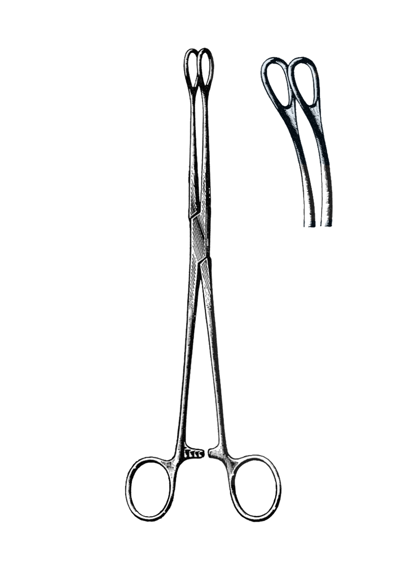 Foerster Sponge Forceps, Smooth, Curved 7" (18 cm) - Garana Industries