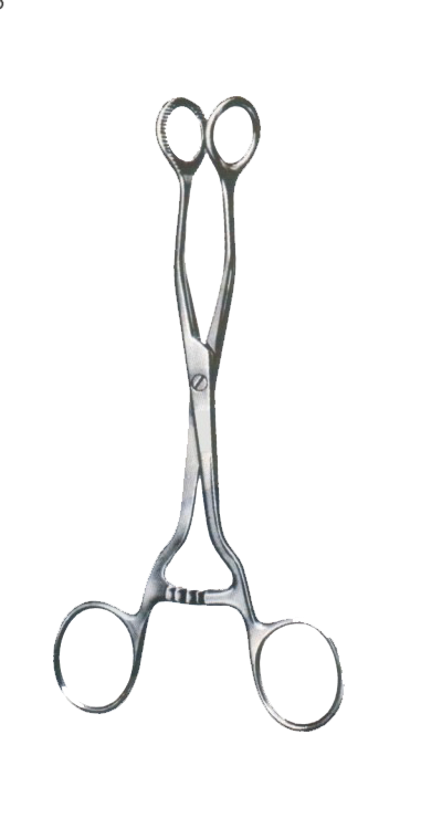 Collin Forceps 7" (18 cm) - Garana Industries