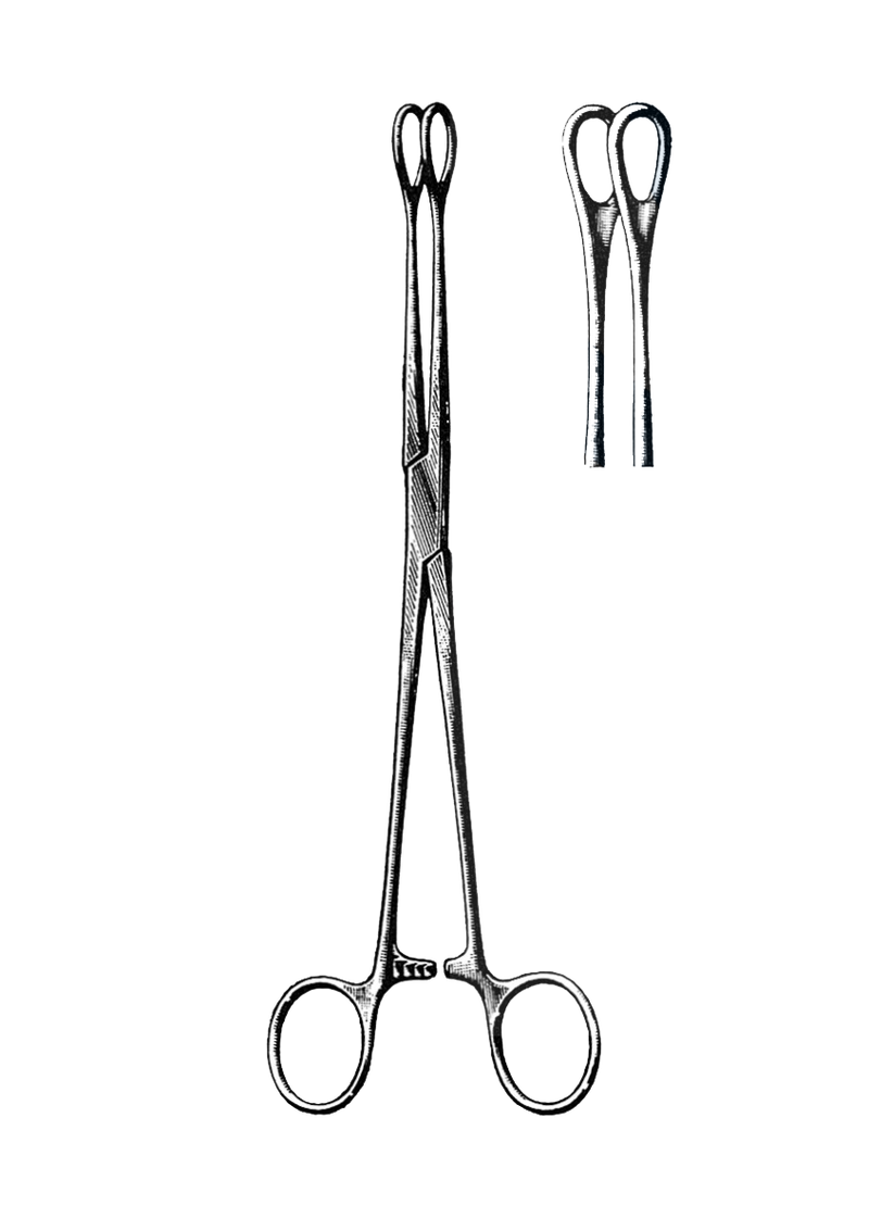 Foerster Sponge Forceps, Smooth, Straight 9 1/2" (24 cm) - Garana Industries