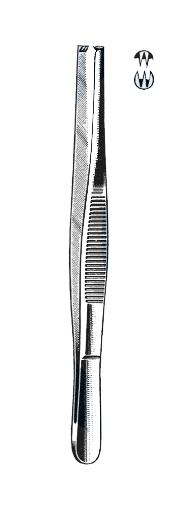 Tissue Forceps, 2 x 3 Teeth 10" (25 cm) - Garana Industries