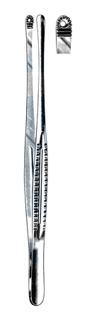 Mayo-Russian Tissue Forceps 9" (23 cm) - Garana Industries