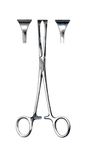 Allis-Adair Tissue Forceps, 9 x 10 Teeth 6" (15 cm) - Garana Industries