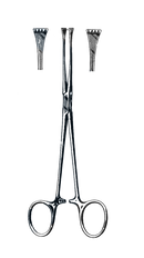 Lockwood Allis Tissue Forceps, 6 1/4" (16 cm) - Garana Industries