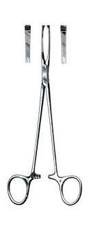 Judd-Allis Tissue Forceps, 3 x 4 Teeth, 7 1/2" (19 cm) - Garana Industries