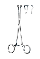 Babcook Tissue Forceps 5 1/2"  (14 cm) - Garana Industries