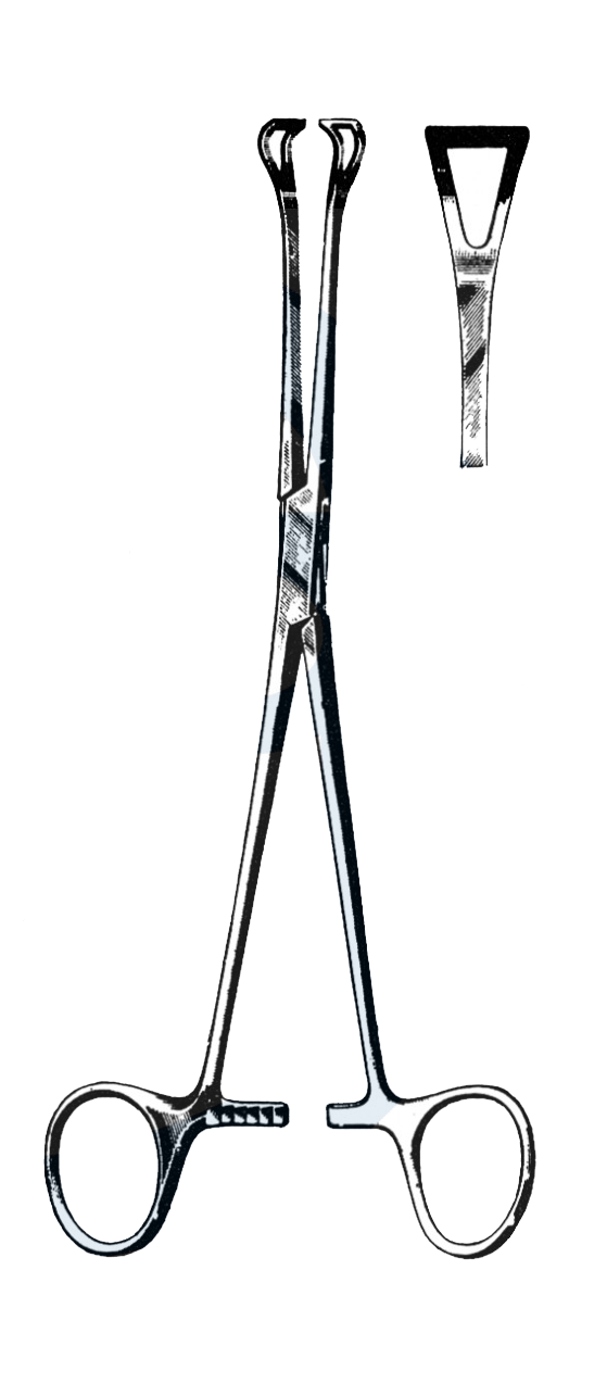 Babcock Tissue Forceps 9 1/4" (23.5 cm) - Garana Industries