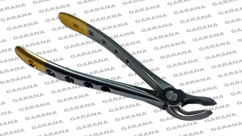 Extracting Forceps F2