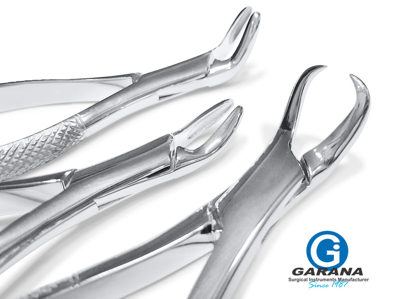 Dental Extracting Forceps Set of 3 Pcs ( # 150, # 151, # 23)