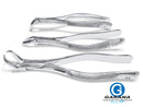 Dental Extracting Forceps Set of 3 Pcs ( # 150, # 151, # 23)