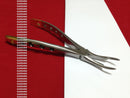 Extracting Forceps 49 F1013