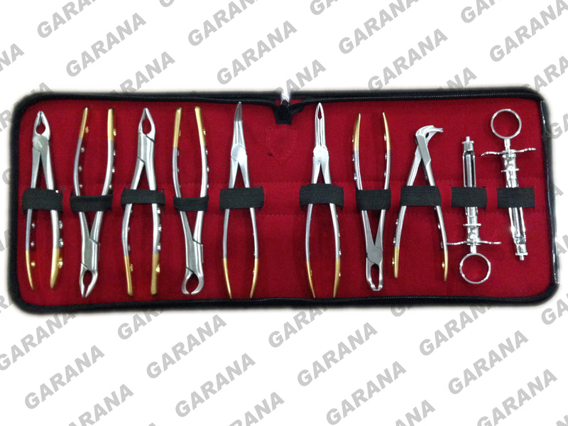 Dental Extracting Forceps Crown Remover & Syringe Kit of 10 Pcs
